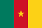 Drapeau Cameroun